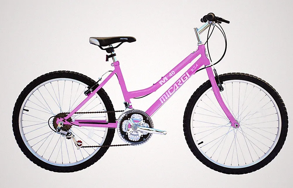 18 Speed 24" Mountain Bicycle Steel Frame M40 MTB Women Beginner V-brake Bike