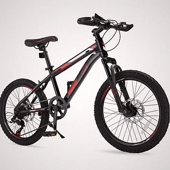 20" Mountain Bike, 7 Speed Bike with Disc Brakes