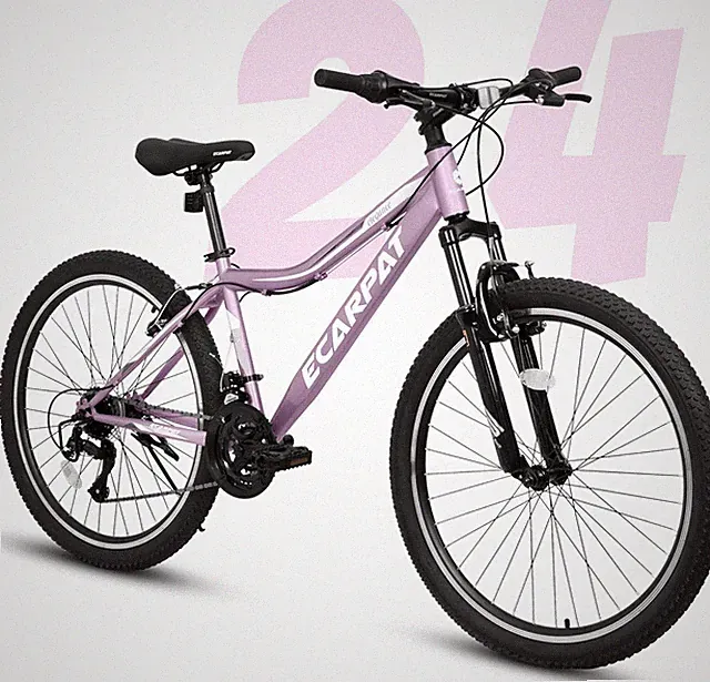 24 Inch Women Girls Mountain Bike, Disc/V Brakes 21 Speeds Women Bike, Sturdy