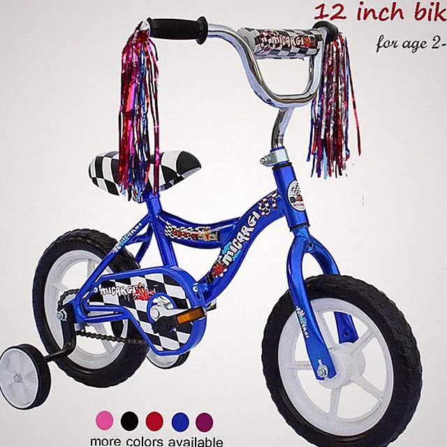 Wonder Wheels 12 Inch Kids Beginner Bicycle for 2 4 Years Blue