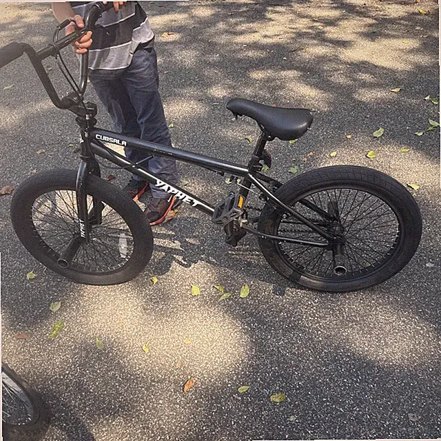 Freestyle BMX Bike, 20 Inch Yaphet Bicycle for Teen Beginner and Adult Riders...