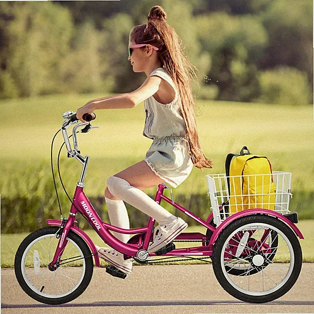 NAIZEA 16 inch Tricycle Trikes for Beginner Riders Single Speed 3 Wheel Bikes